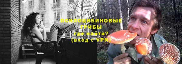 сатива Армянск